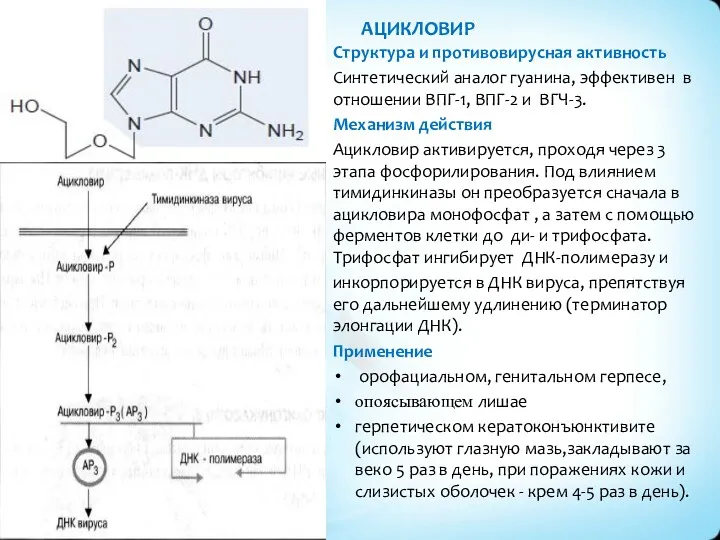 АЦИКЛОВИР Структура и противовирусная активность Синтетический аналог гуанина, эффективен в