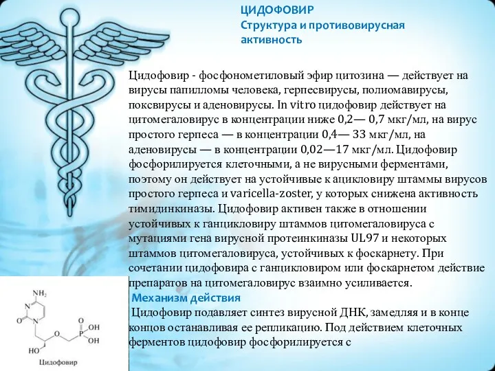 ЦИДОФОВИР Структура и противовирусная активность Цидофовир - фосфонометиловый эфир цитозина