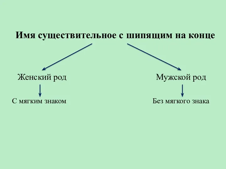 Имя существительное с шипящим на конце Женский род Мужской род С мягким знаком Без мягкого знака