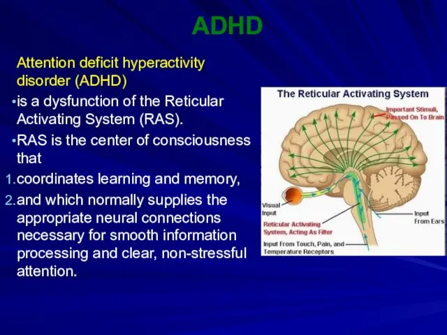 ADHD Attention deficit hyperactivity disorder (ADHD) is a dysfunction of