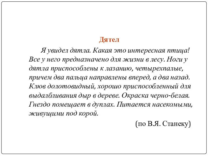 Дятел Я увидел дятла. Какая это интересная птица! Все у