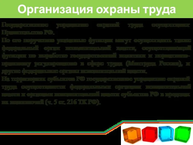 Организация охраны труда Государственное управление охраной труда осуществляет Правительство РФ.