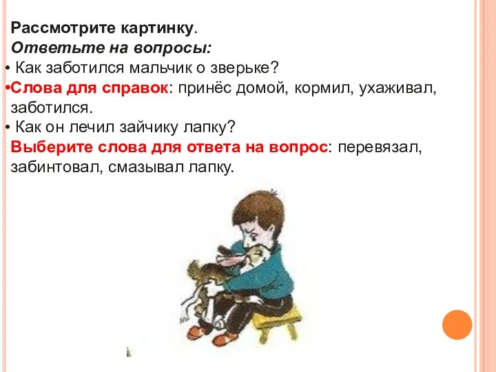 Рассмотрите картинку. Ответьте на вопросы: Как заботился мальчик о зверьке?