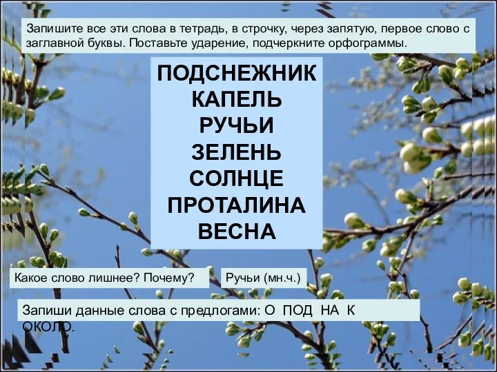 ПОДСНЕЖНИК КАПЕЛЬ РУЧЬИ ЗЕЛЕНЬ СОЛНЦЕ ПРОТАЛИНА ВЕСНА Запишите все эти