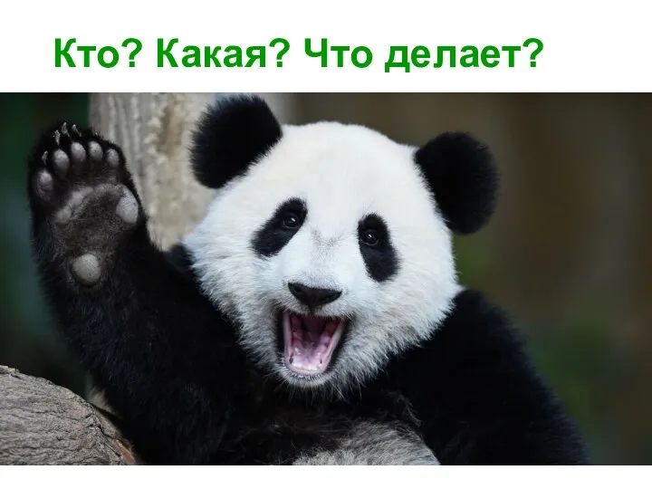 Кто? Какая? Что делает?