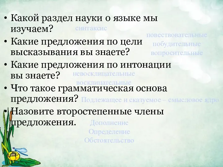 Какой раздел науки о языке мы изучаем? Какие предложения по