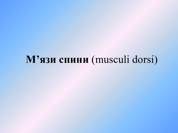 М’язи спини (musculi dorsi)