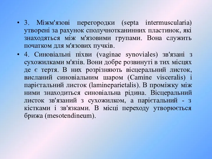 3. Міжм'язові перегородки (septa intermuscularia) утворені за рахунок сполучнотканинних пластинок,