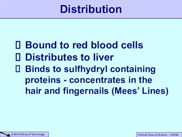 Bound to red blood cells Distributes to liver Binds to sulfhydryl containing proteins