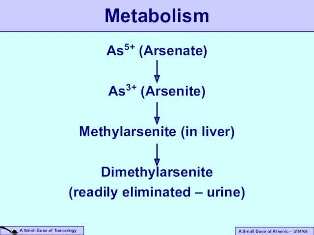 As5+ (Arsenate) As3+ (Arsenite) Methylarsenite (in liver) Dimethylarsenite (readily eliminated – urine) Metabolism