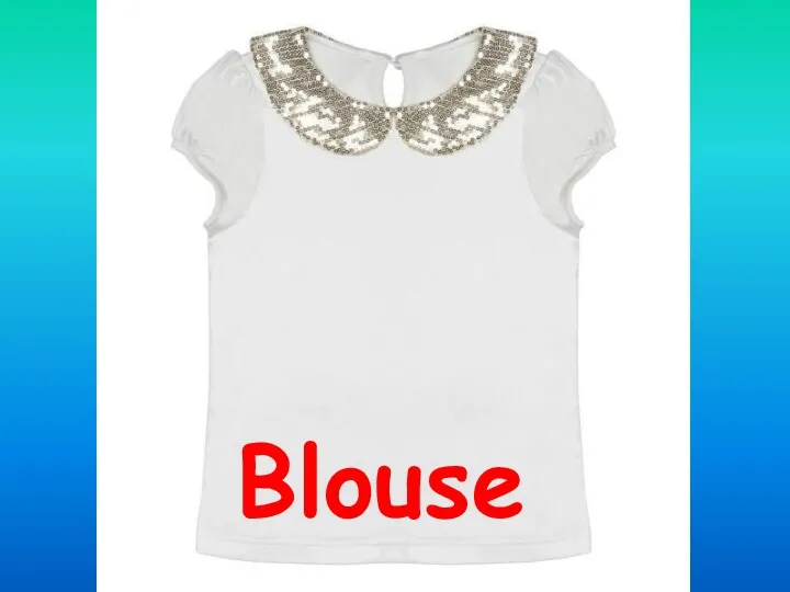 Blouse