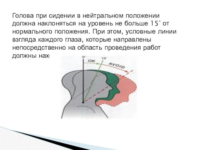 Голова при сидении в нейтральном положении должна наклоняться на уровень