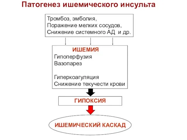 Патогенез ишемического инсульта Тромбоз, эмболия, Поражение мелких сосудов, Снижение системного