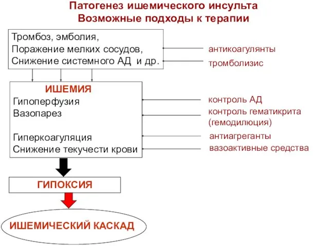 Патогенез ишемического инсульта Возможные подходы к терапии Тромбоз, эмболия, Поражение