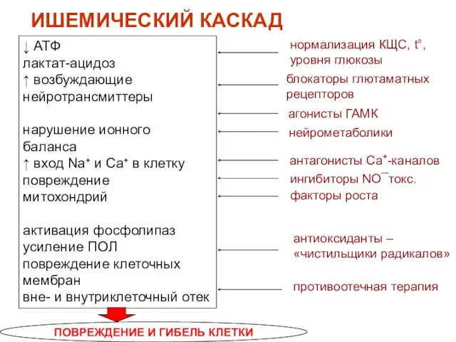 ИШЕМИЧЕСКИЙ КАСКАД ↓ АТФ лактат-ацидоз ↑ возбуждающие нейротрансмиттеры нарушение ионного