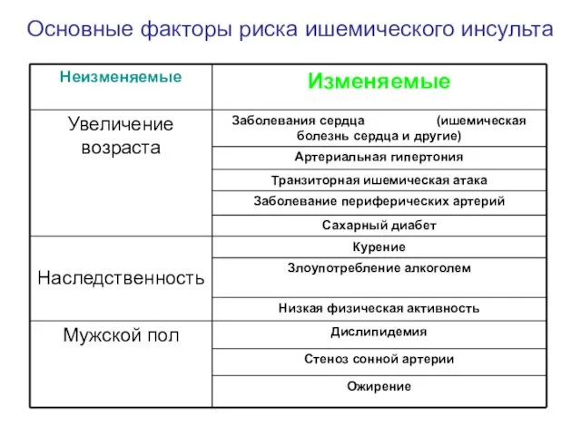 Основные факторы риска ишемического инсульта