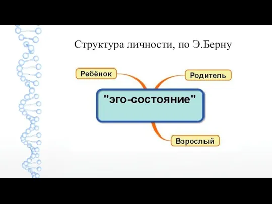 Структура личности, по Э.Берну