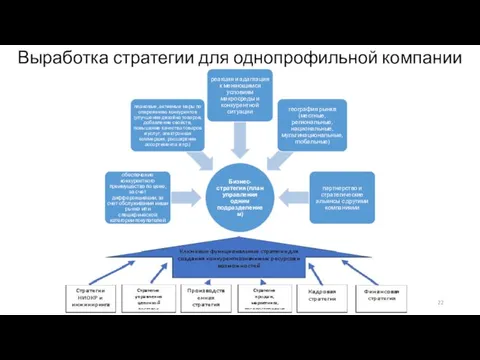 Выработка стратегии для однопрофильной компании