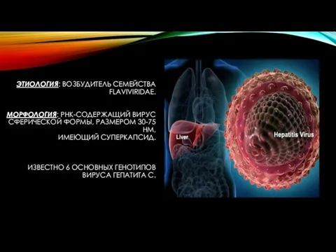 ЭТИОЛОГИЯ: ВОЗБУДИТЕЛЬ СЕМЕЙСТВА FLAVIVIRIDAE. МОРФОЛОГИЯ: РНК-СОДЕРЖАЩИЙ ВИРУС СФЕРИЧЕСКОЙ ФОРМЫ, РАЗМЕРОМ