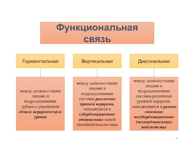 Функциональная связь Горизонтальная Диагональная между должностными лицами и подразделениями субъекта