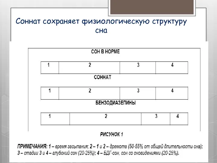 Соннат сохраняет физиологическую структуру сна