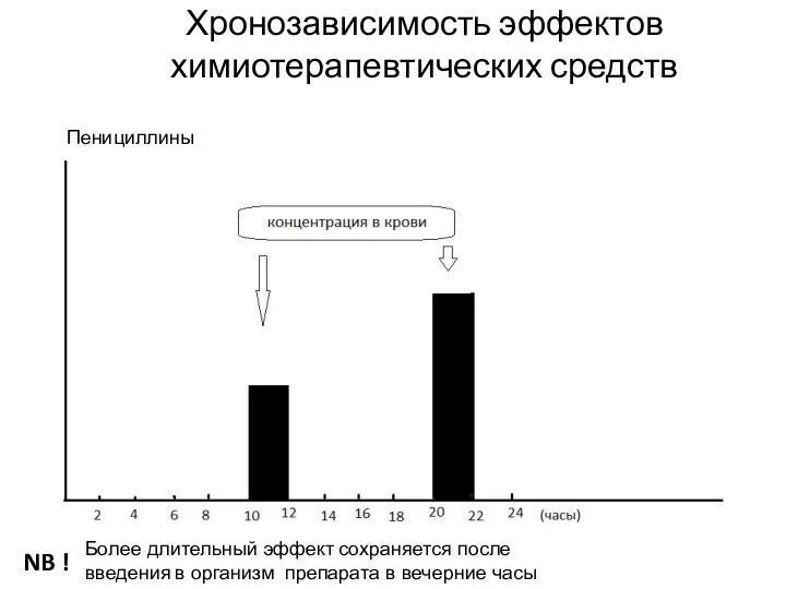 Хронозависимость эффектов химиотерапевтических средств Пенициллины NB ! Более длительный эффект