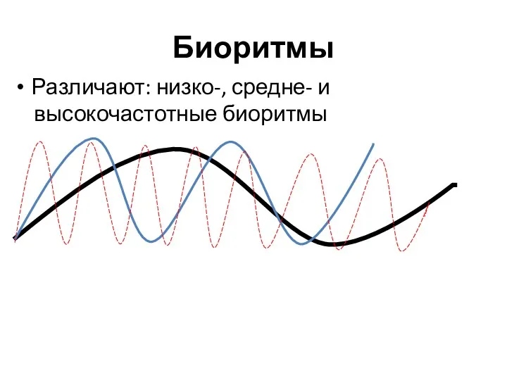 Биоритмы Различают: низко-, средне- и высокочастотные биоритмы