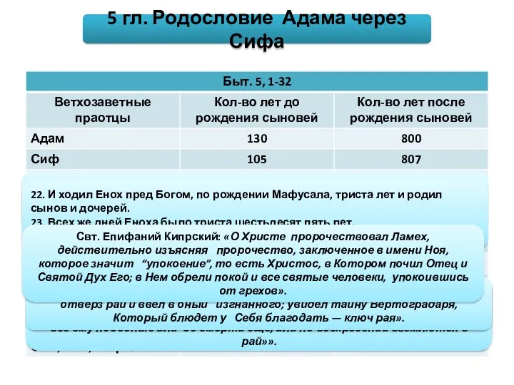 5 гл. Родословие Адама через Сифа Прп. Ефрем Сирин: «В