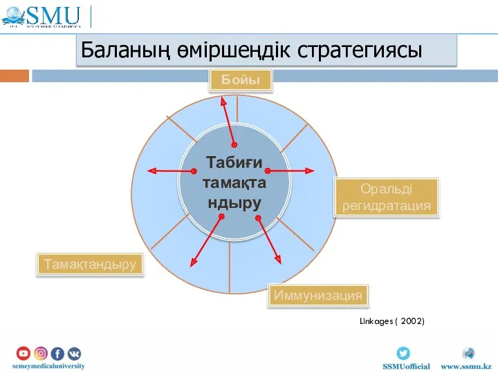 Табиғи тамақтандыру Иммунизация Оральді регидратация Бойы Тамақтандыру Linkages ( 2002) Баланың өміршеңдік стратегиясы