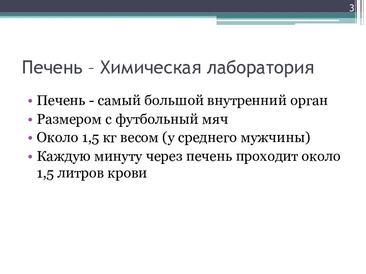 Печень – Химическая лаборатория Печень - самый большой внутренний орган