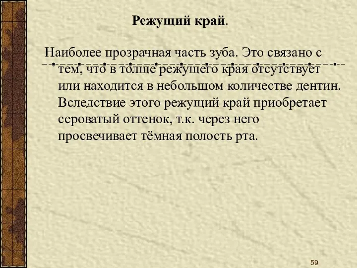 Режущий край. Наиболее прозрачная часть зуба. Это связано с тем,