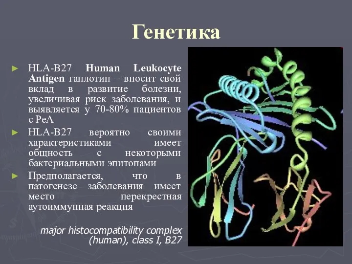 Генетика HLA-B27 Human Leukocyte Antigen гаплотип – вносит свой вклад в развитие болезни,