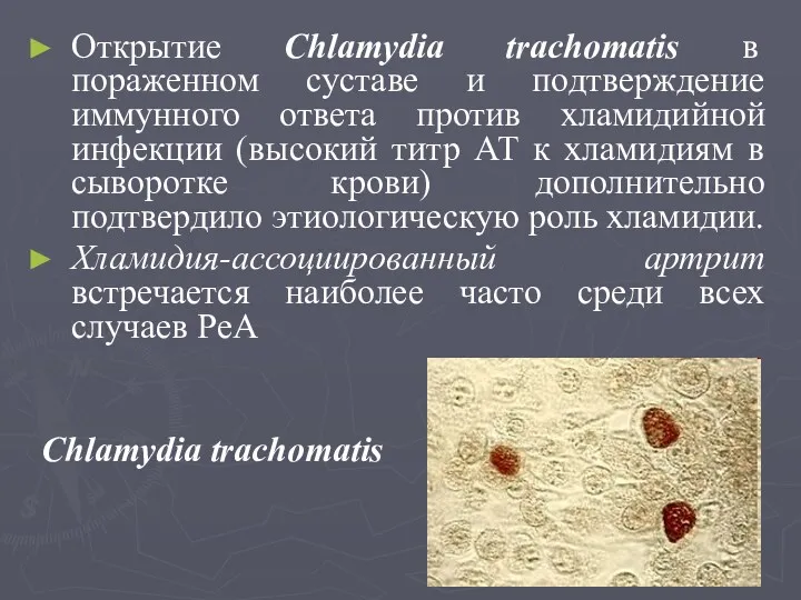 Открытие Chlamydia trachomatis в пораженном суставе и подтверждение иммунного ответа
