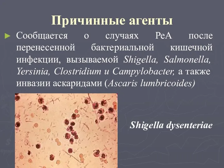 Причинные агенты Сообщается о случаях РеА после перенесенной бактериальной кишечной инфекции, вызываемой Shigella,