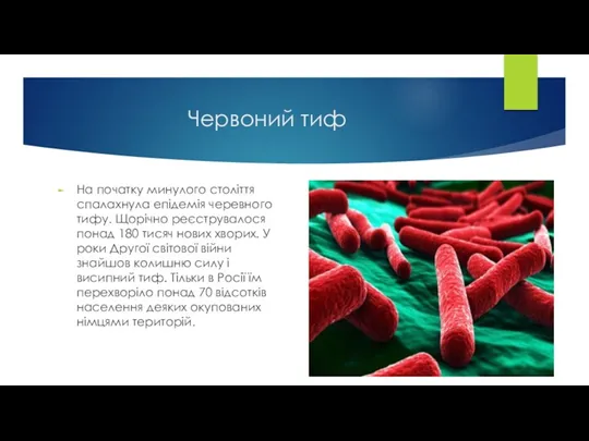 Червоний тиф На початку минулого століття спалахнула епідемія черевного тифу. Щорічно реєструвалося понад