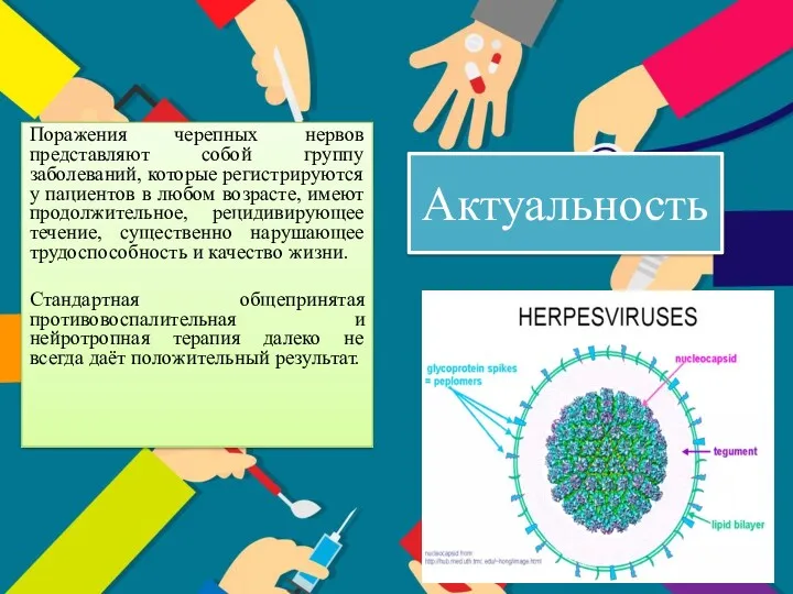 Актуальность Поражения черепных нервов представляют собой группу заболеваний, которые регистрируются у пациентов в