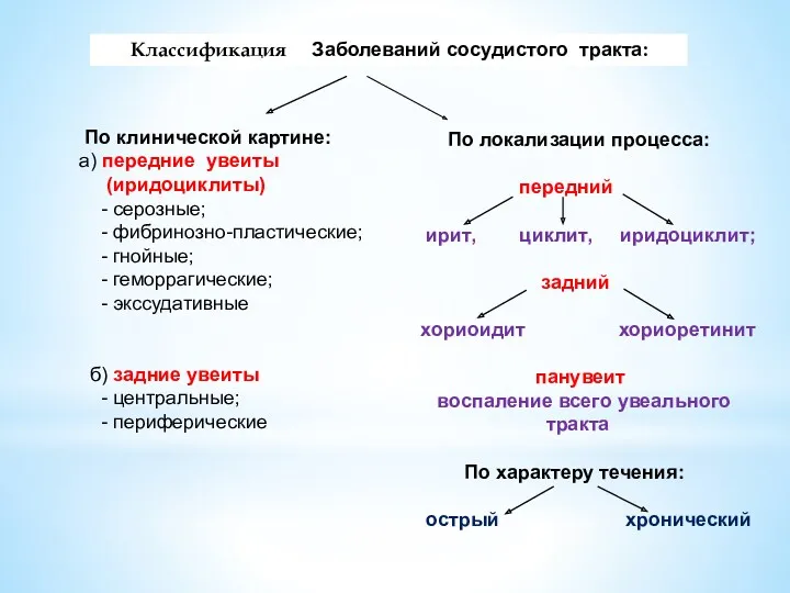 По клинической картине: а) передние увеиты (иридоциклиты) - серозные; -