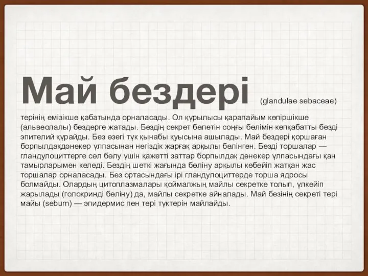 Май бездері (glandulae sebaceae) терінің емізікше қабатында орналасады. Ол қүрылысы