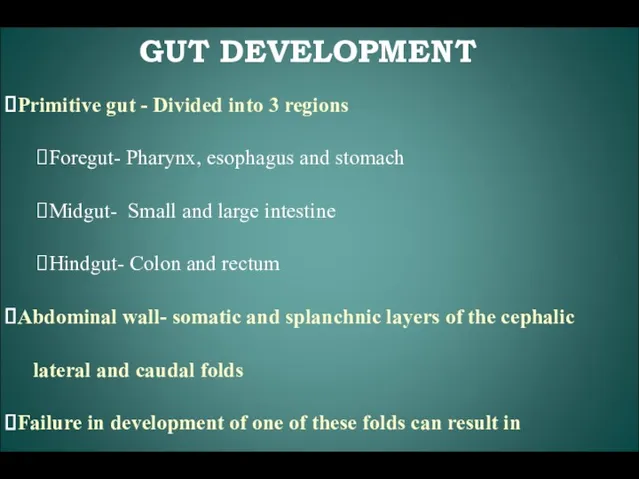 GUT DEVELOPMENT Primitive gut - Divided into 3 regions Foregut- Pharynx, esophagus and