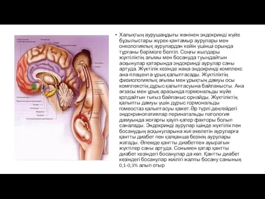 Халықтың аурушаңдығы жөнінен эндокринді жүйе бұзылыстары жүрек-қантамыр аурулары мен онкологиялық