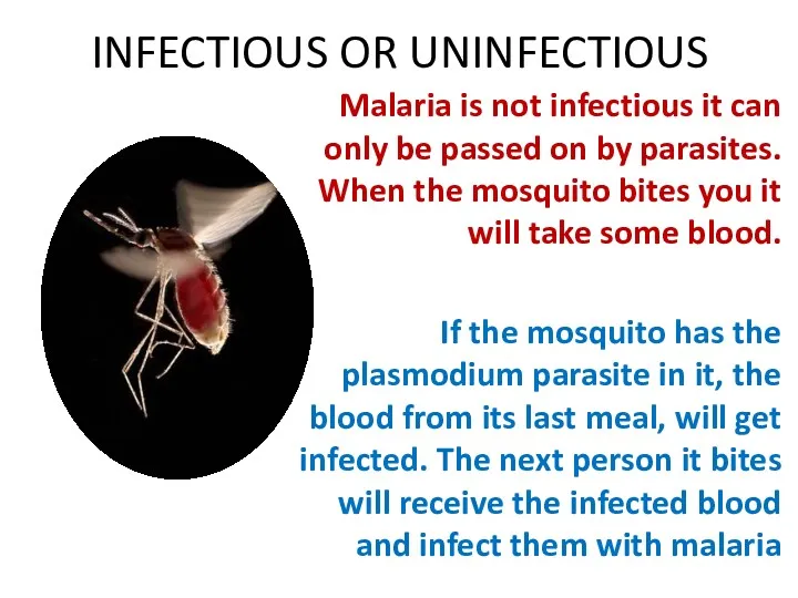 INFECTIOUS OR UNINFECTIOUS Malaria is not infectious it can only