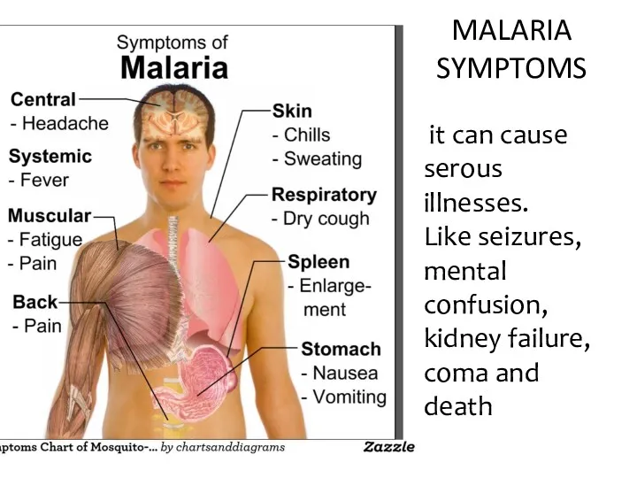 MALARIA SYMPTOMS it can cause serous illnesses. Like seizures, mental confusion, kidney failure, coma and death