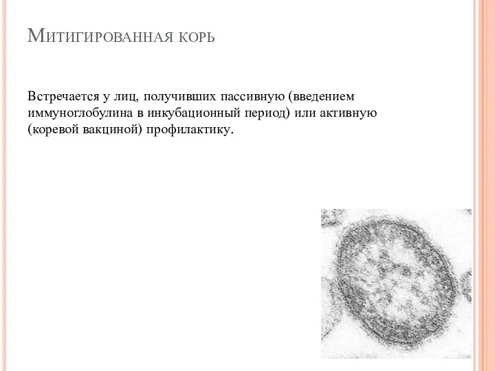 Митигированная корь Встречается у лиц, получивших пассивную (введением иммуноглобулина в