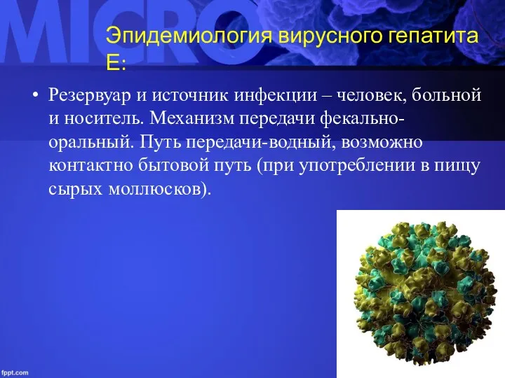 Эпидемиология вирусного гепатита Е: Резервуар и источник инфекции – человек,