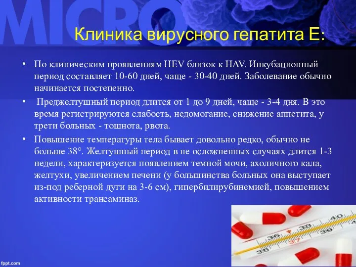 Клиника вирусного гепатита Е: По клиническим проявлениям HEV близок к