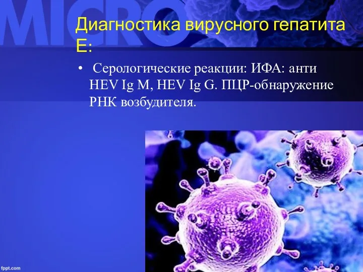 Диагностика вирусного гепатита Е: Серологические реакции: ИФА: анти HEV Ig