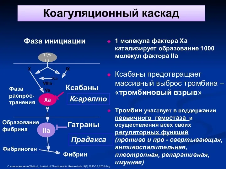 Ксабаны Xa IIa TF/VIIa X IX IXa VIIIa Va II