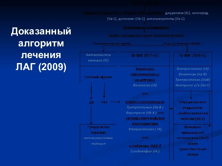 Доказанный алгоритм лечения ЛАГ (2009)