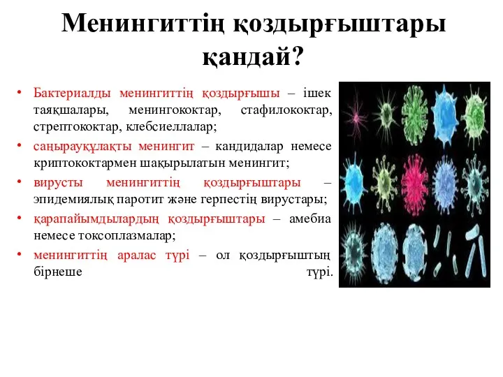 Менингиттің қоздырғыштары қандай? Бактериалды менингиттің қоздырғышы – ішек таяқшалары, менингококтар,