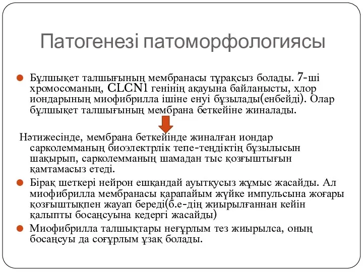 Патогенезі патоморфологиясы Бұлшықет талшығының мембранасы тұрақсыз болады. 7-ші хромосоманың, CLCN1